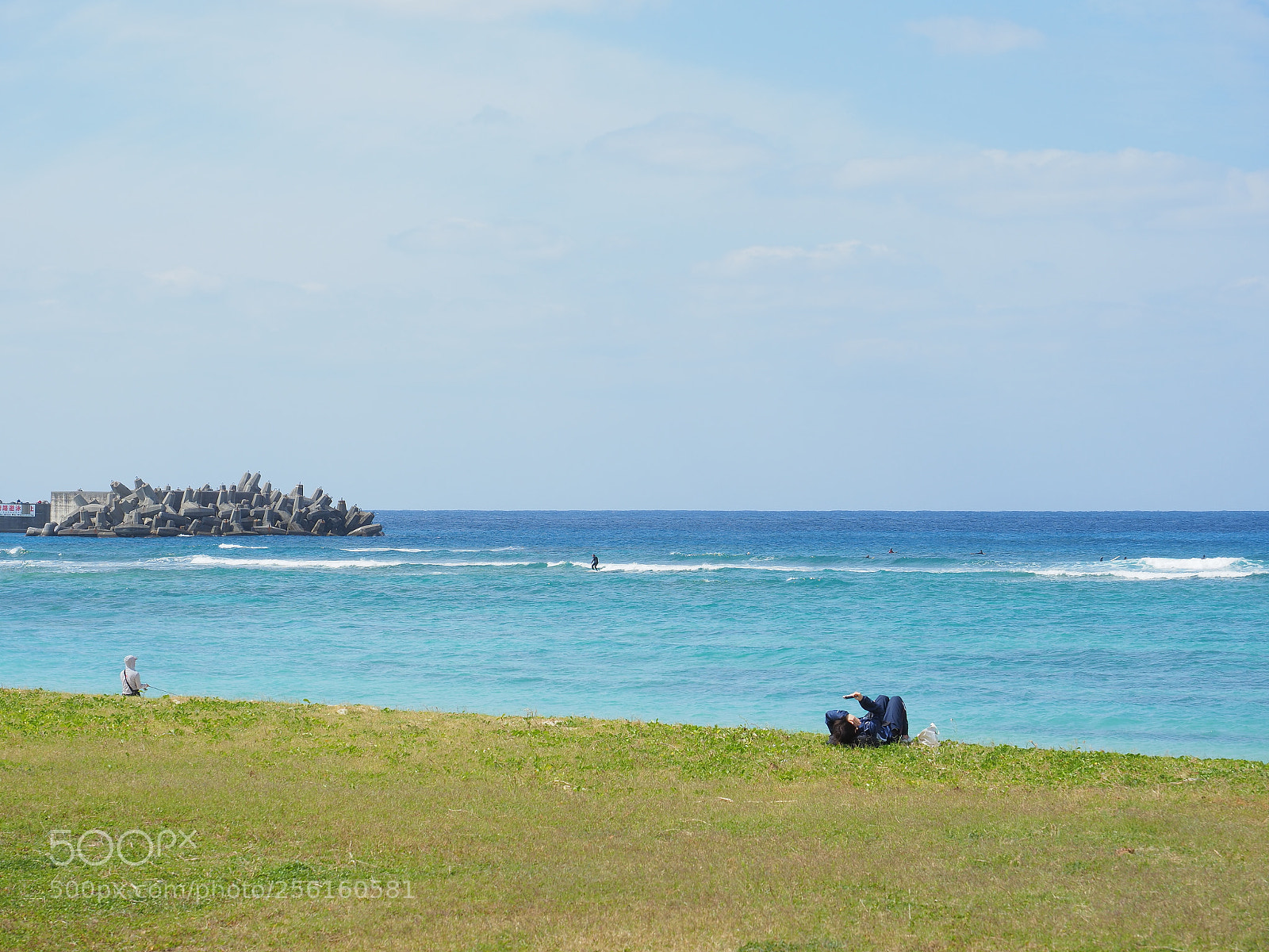 Olympus OM-D E-M1 Mark II sample photo. One sunny day photography