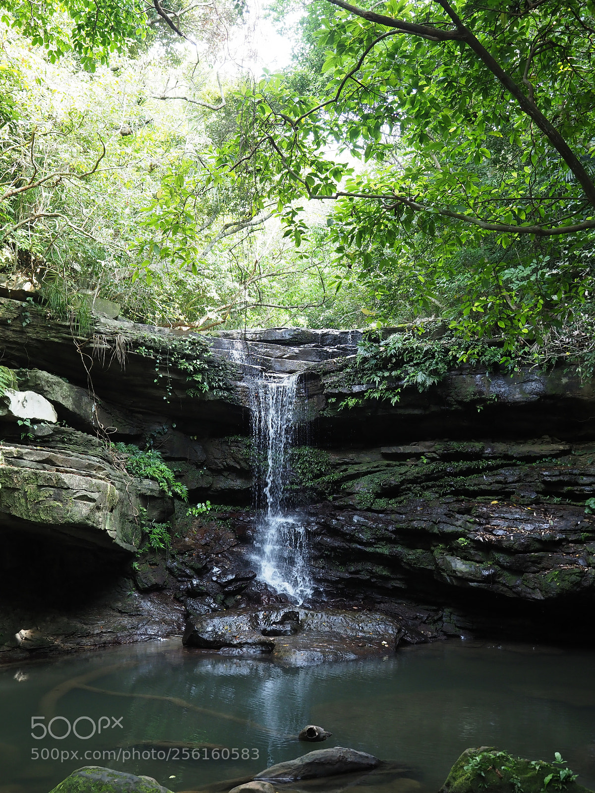 Olympus OM-D E-M1 Mark II sample photo. Waterfall photography