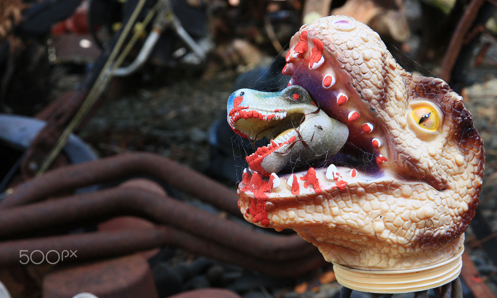 Canon EOS 650D (EOS Rebel T4i / EOS Kiss X6i) sample photo. New zeeland "in the outback" 1 photography