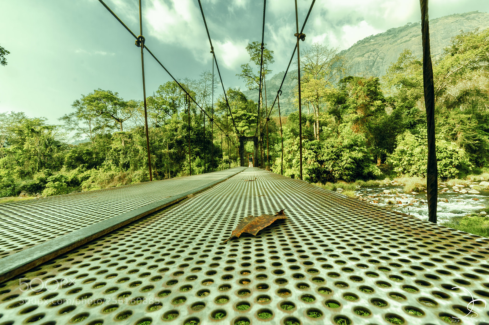 Canon EOS 50D sample photo. Bridge photography