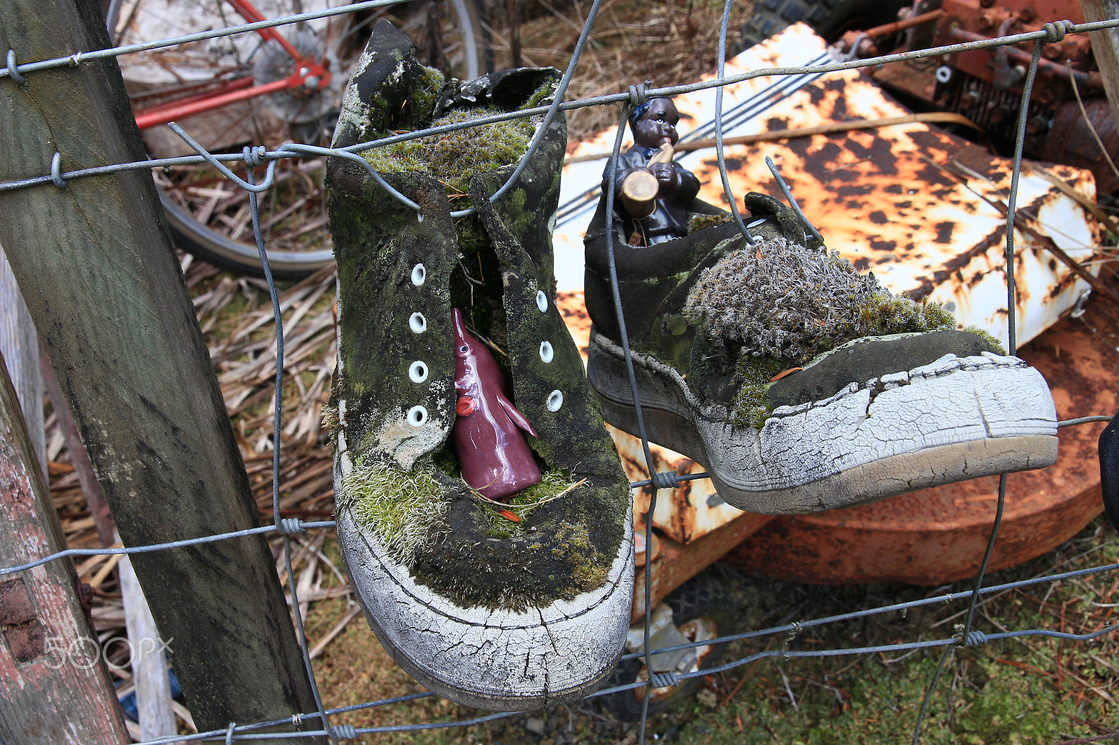 Canon EOS 650D (EOS Rebel T4i / EOS Kiss X6i) sample photo. New zeeland "in the outback" 2 photography