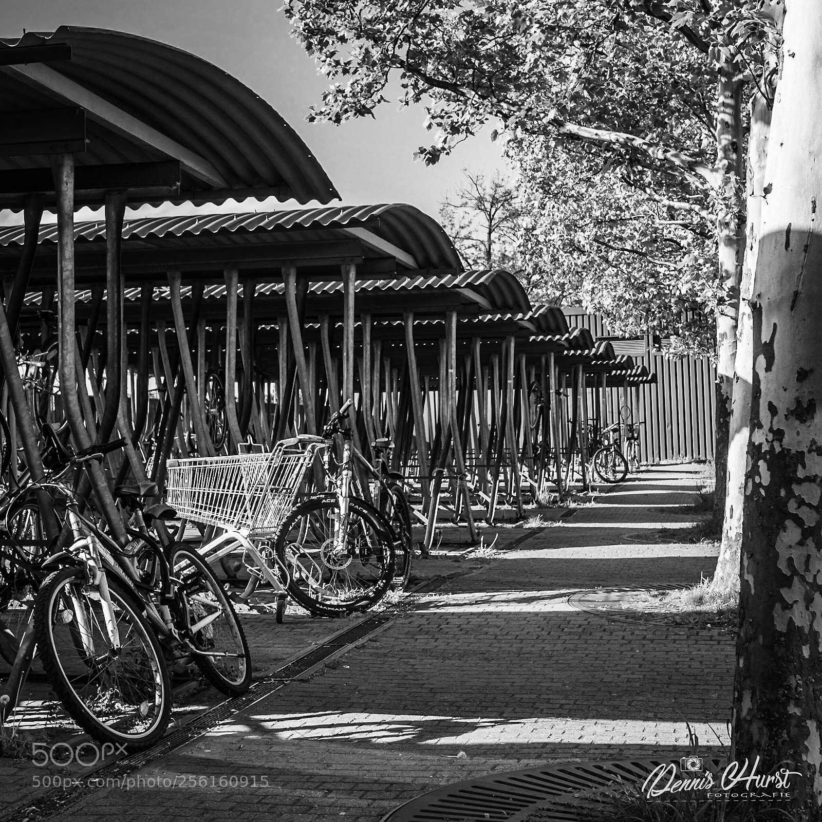 Nikon D7200 sample photo. Zweirad-shop? photography