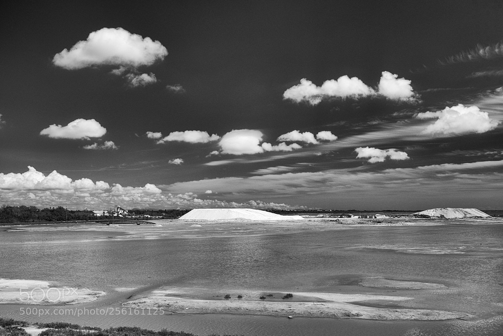 Nikon D800 sample photo. Saline de giraud photography