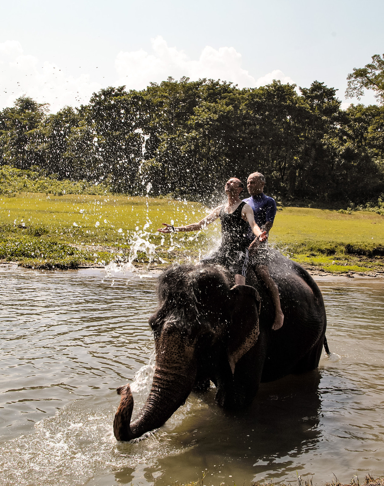 Canon EOS 6D sample photo. Citwan elephant shower photography