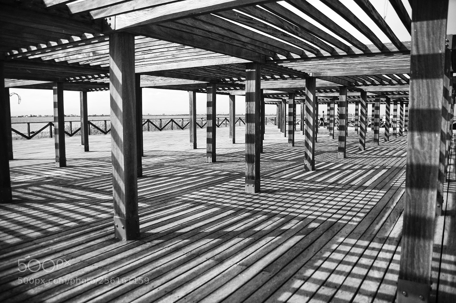 Sony SLT-A58 sample photo. Sombras photography