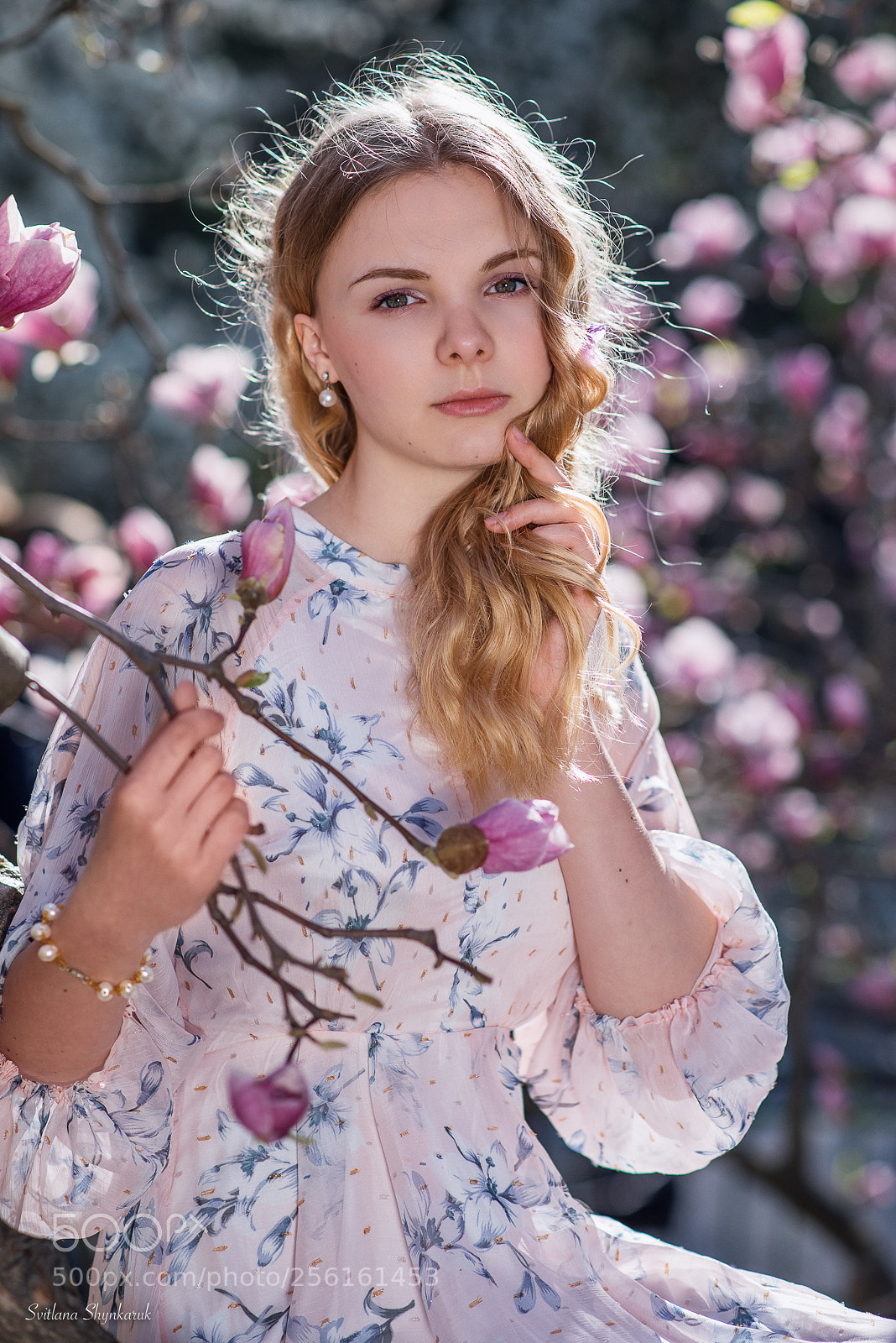 Nikon D750 sample photo. Magnolias photography