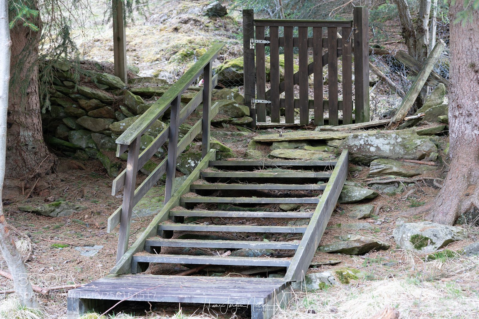 Sony a7R II sample photo. Enchanted stairs photography