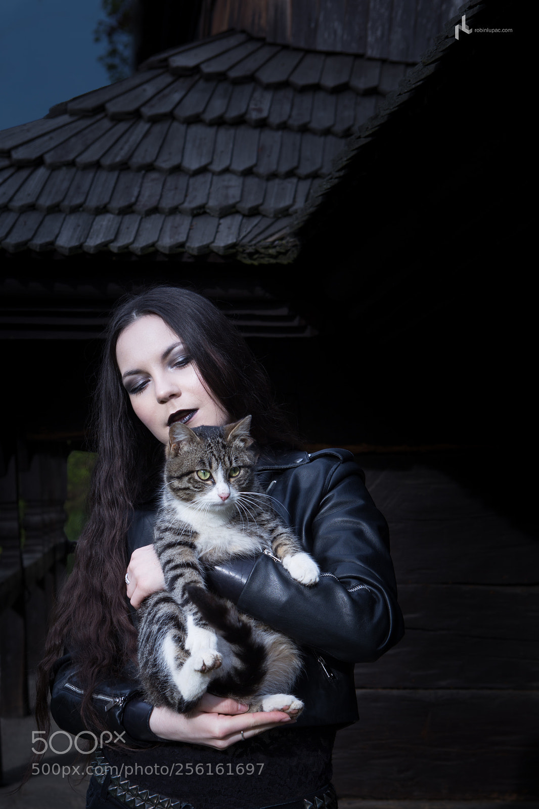 Canon EOS 6D sample photo. Metal cats nr.2 photography