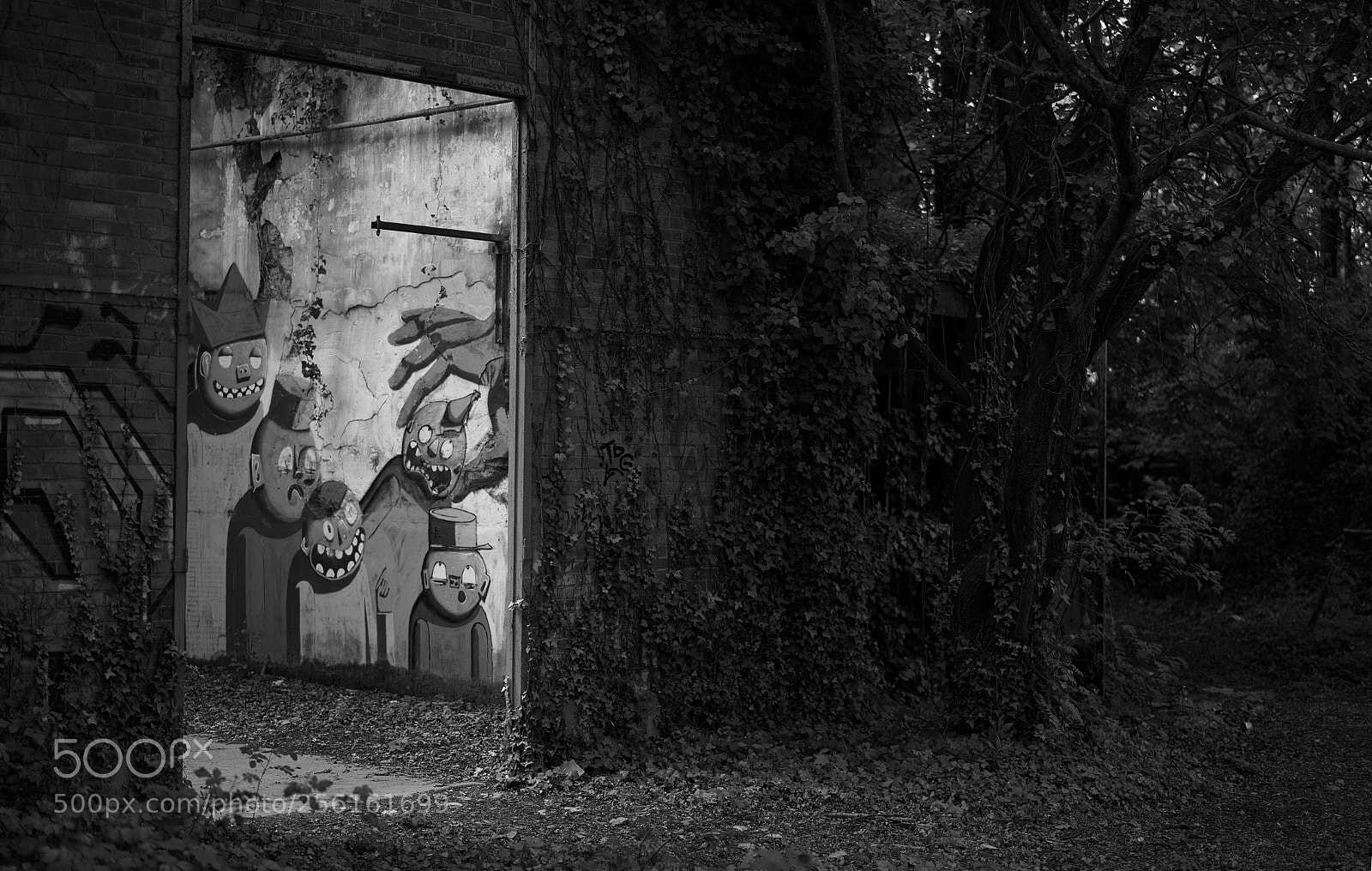 Sony a7 sample photo. Enchanted forest photography