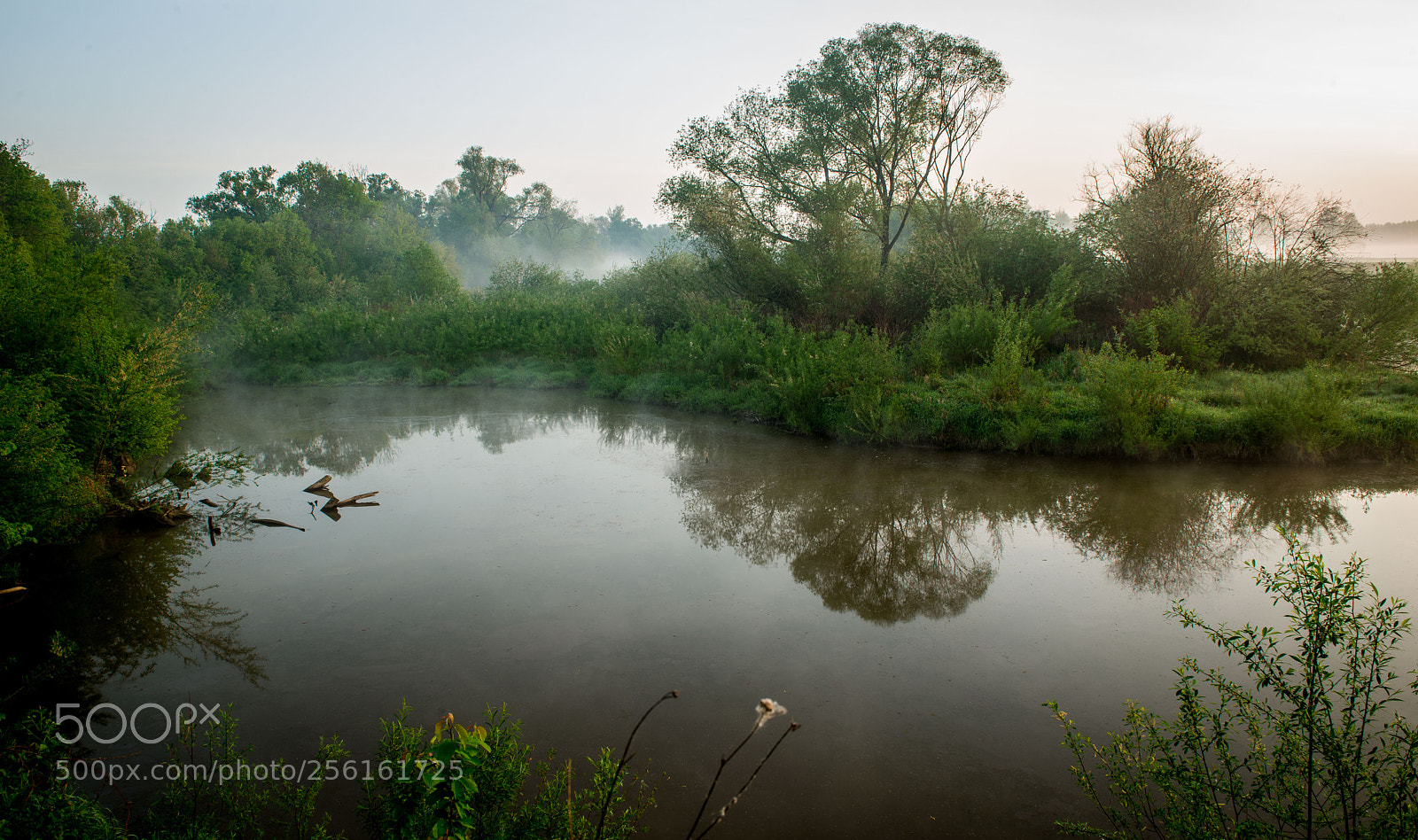Nikon D800 sample photo. Odra photography