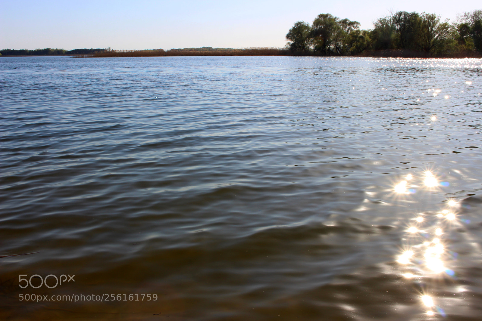 Canon EOS 700D (EOS Rebel T5i / EOS Kiss X7i) sample photo. Still the cold water photography