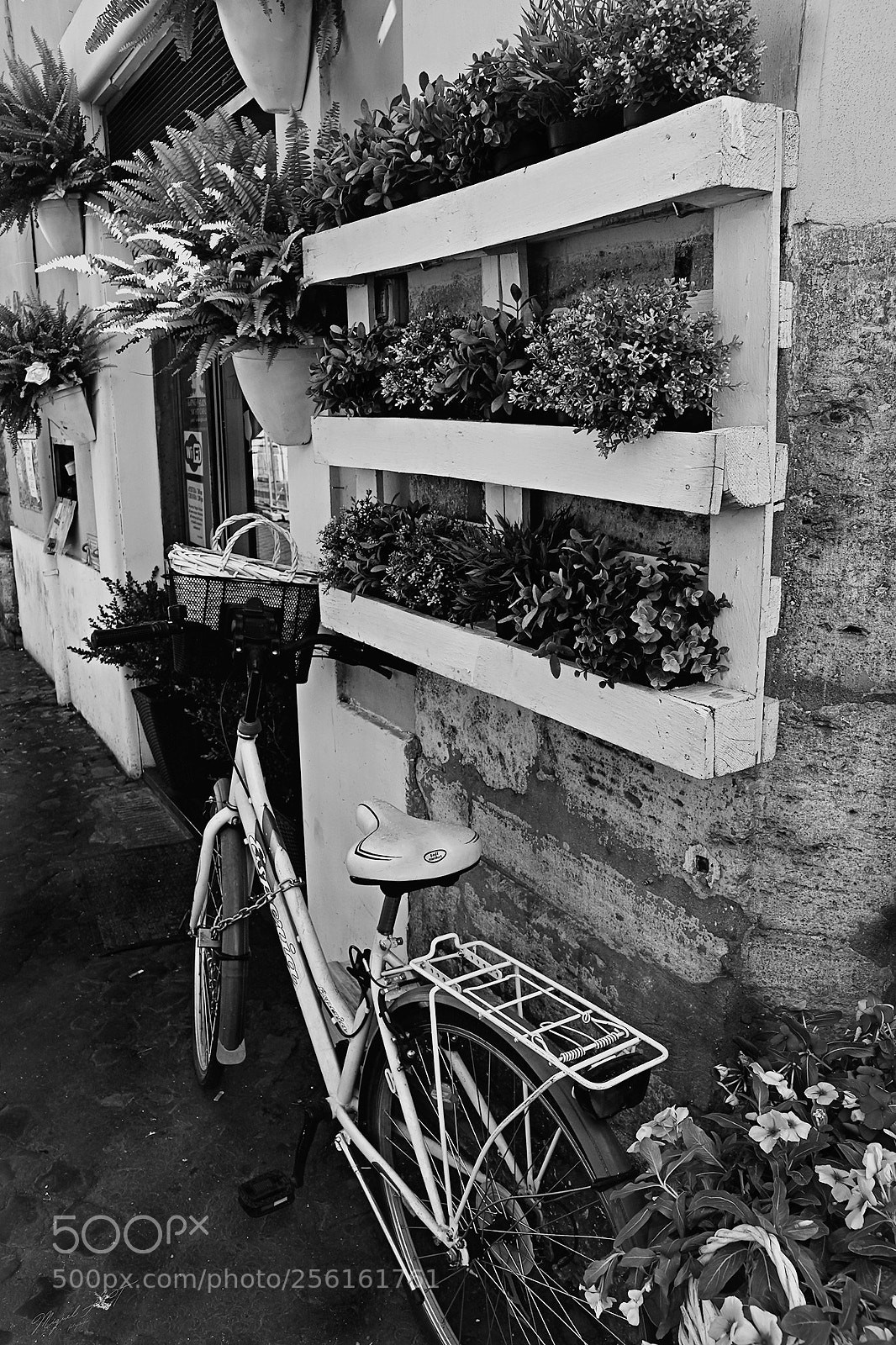 Nikon D7200 sample photo. Bici photography