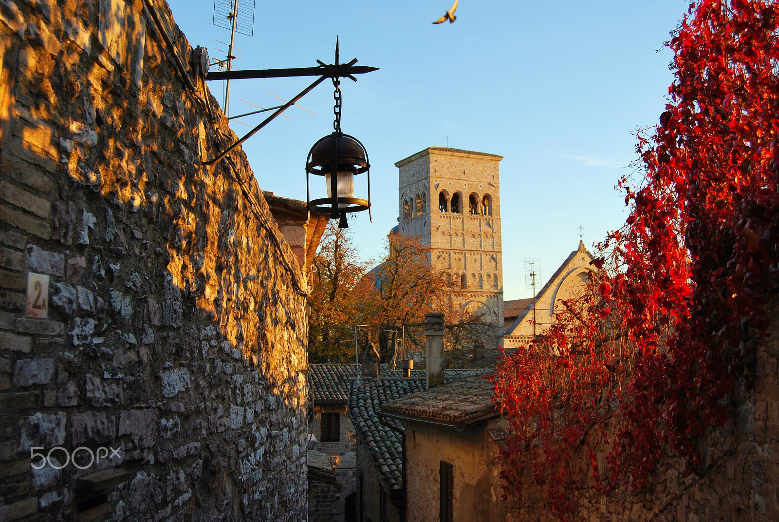 Nikon D60 sample photo. Assisi, italy photography
