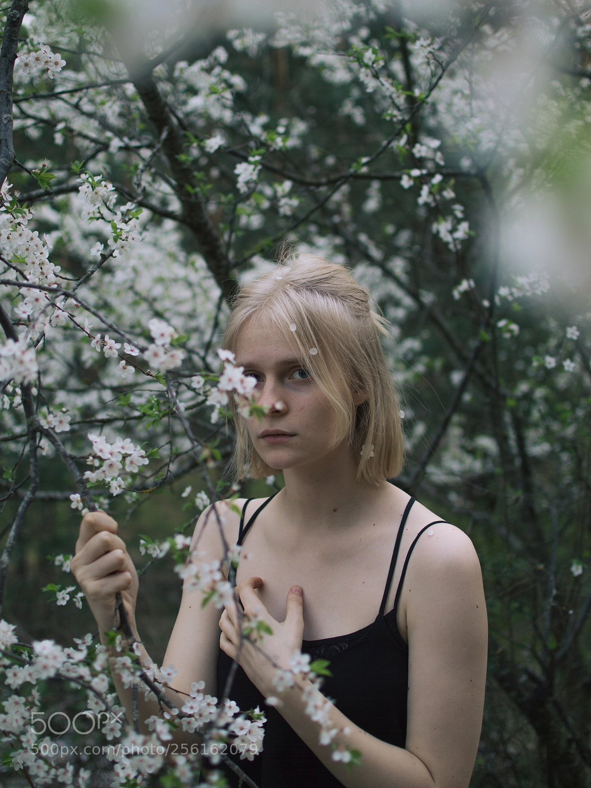 Nikon D3200 sample photo. Girl in flowers photography