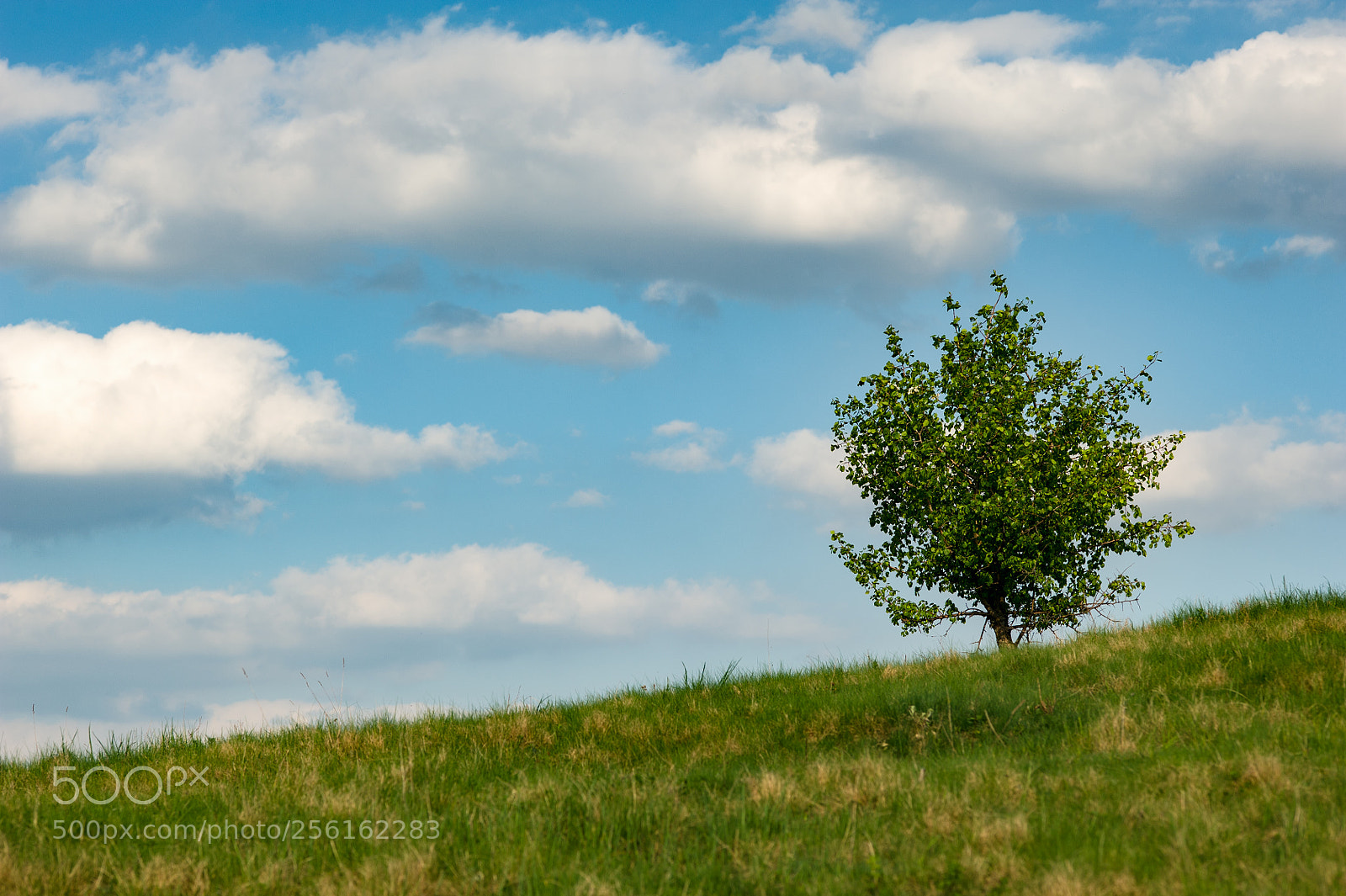 Nikon D700 sample photo. Under the clouds photography