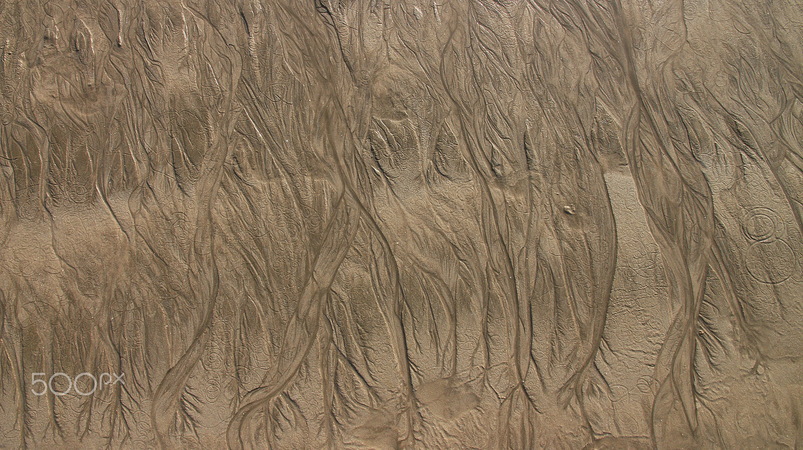 Canon EOS 650D (EOS Rebel T4i / EOS Kiss X6i) sample photo. Myanamar  ngpali beach  water playing in the sand photography