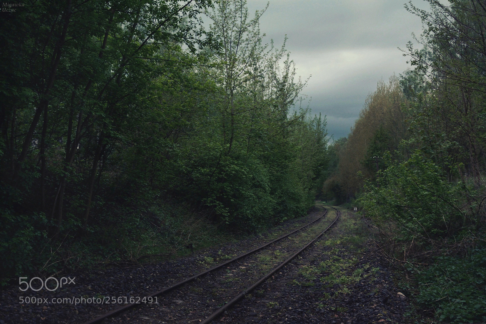 Nikon D5200 sample photo. Tracks photography