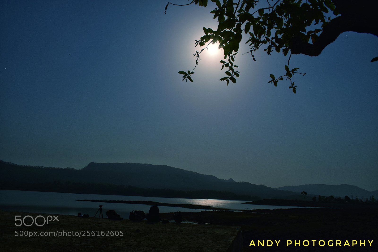 Nikon D5300 sample photo. Night light photography photography