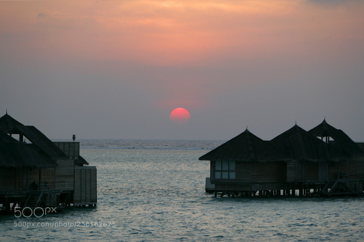 Canon EOS-1Ds Mark II sample photo. Maldive photography
