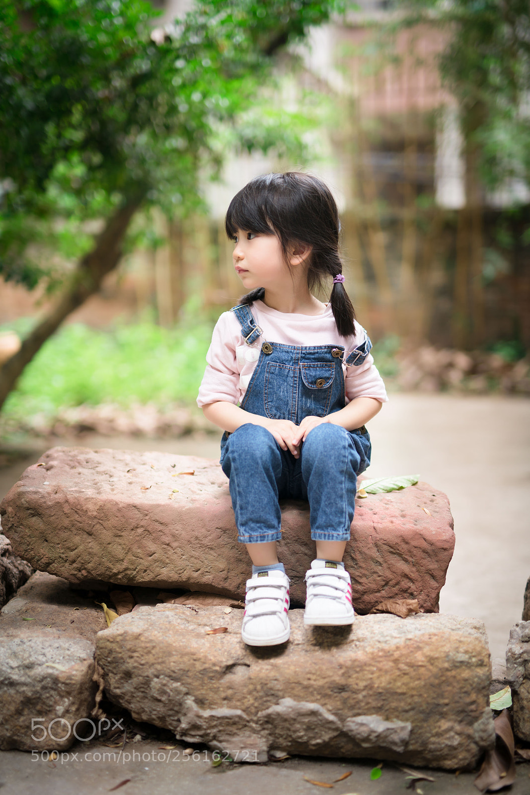 Sony a7R II sample photo. Untitled photography
