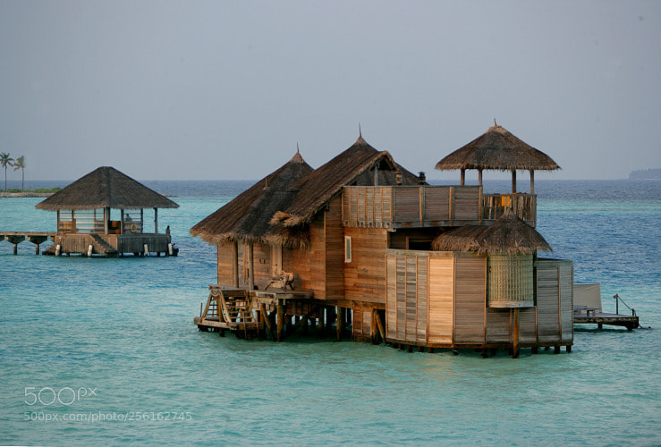 Canon EOS-1Ds Mark II sample photo. Maldive photography