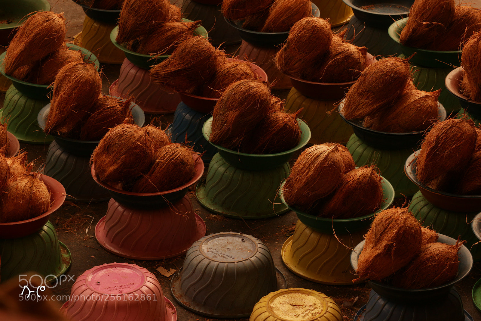 Canon EOS M10 sample photo. Coconuts on sale photography