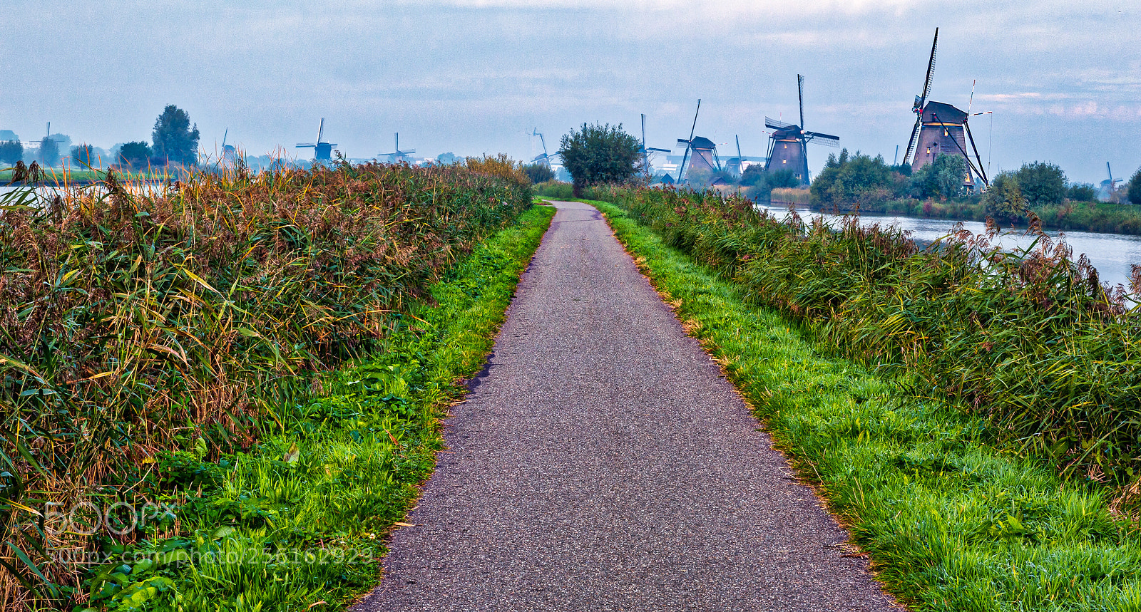 Nikon D4S sample photo. Walking path @ kinderdijk ! photography