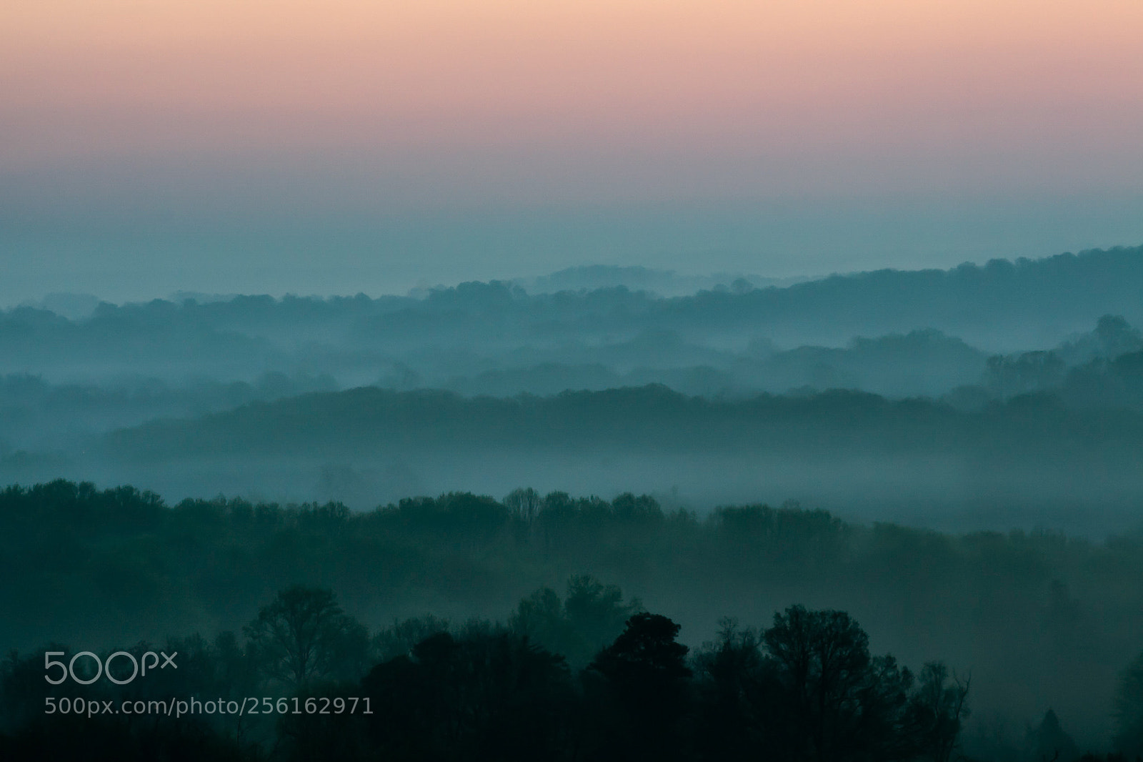 Nikon D3100 sample photo. Morning fog photography