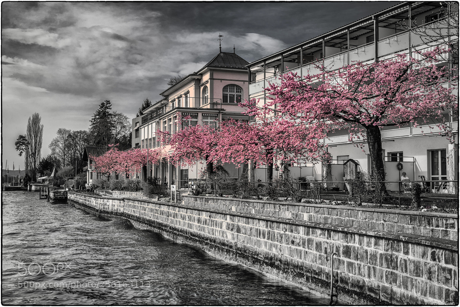 Nikon D750 sample photo. Japanese mood photography