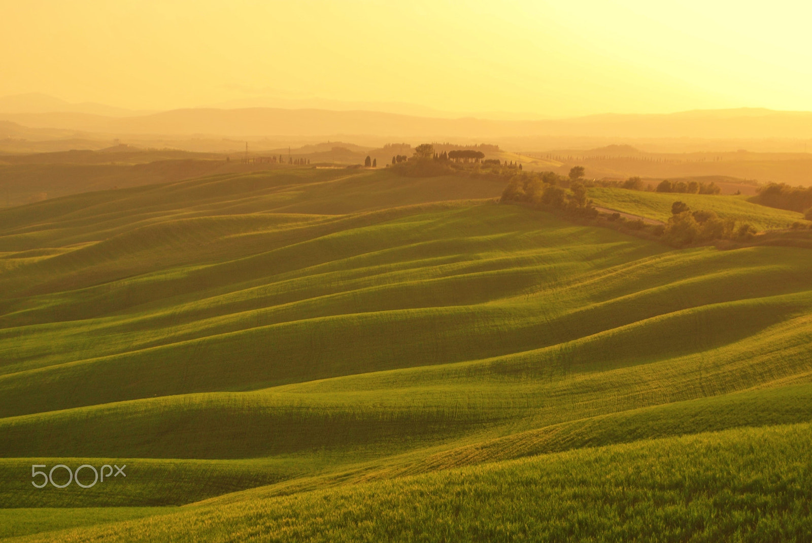 Nikon D60 sample photo. Tuscany, italy photography