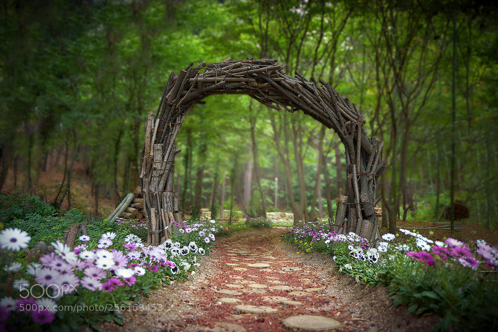 Sony a7 III sample photo. The secret garden photography