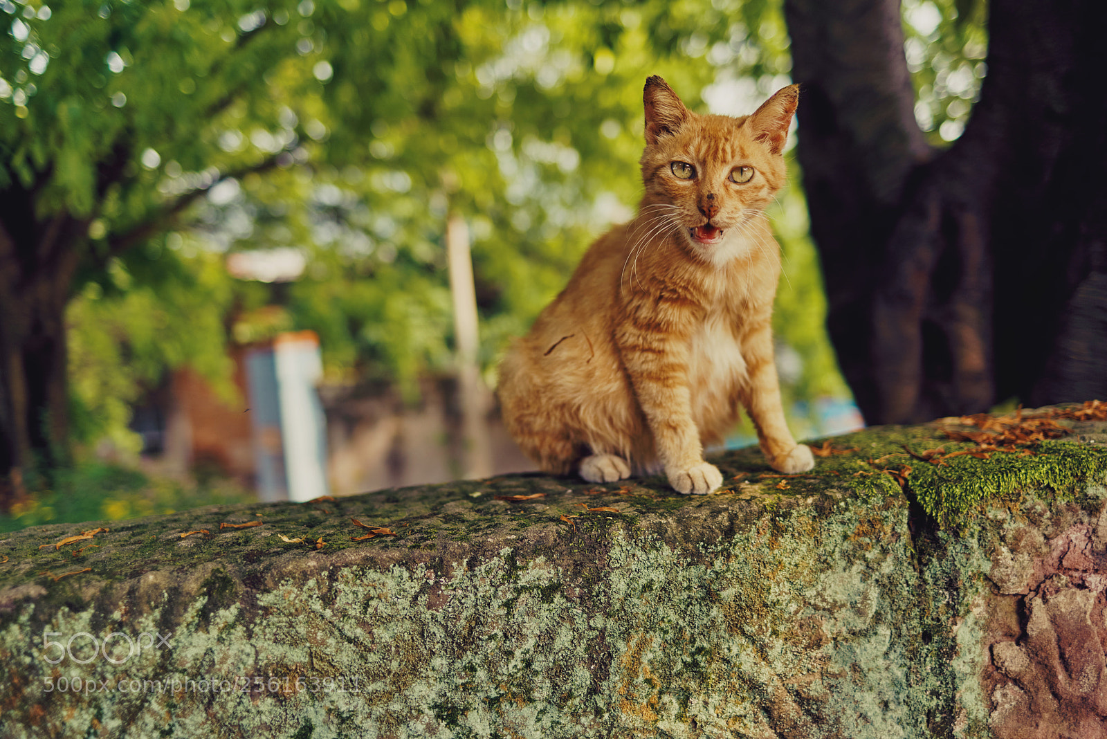 Pentax K-1 sample photo. Tang jia tong photography
