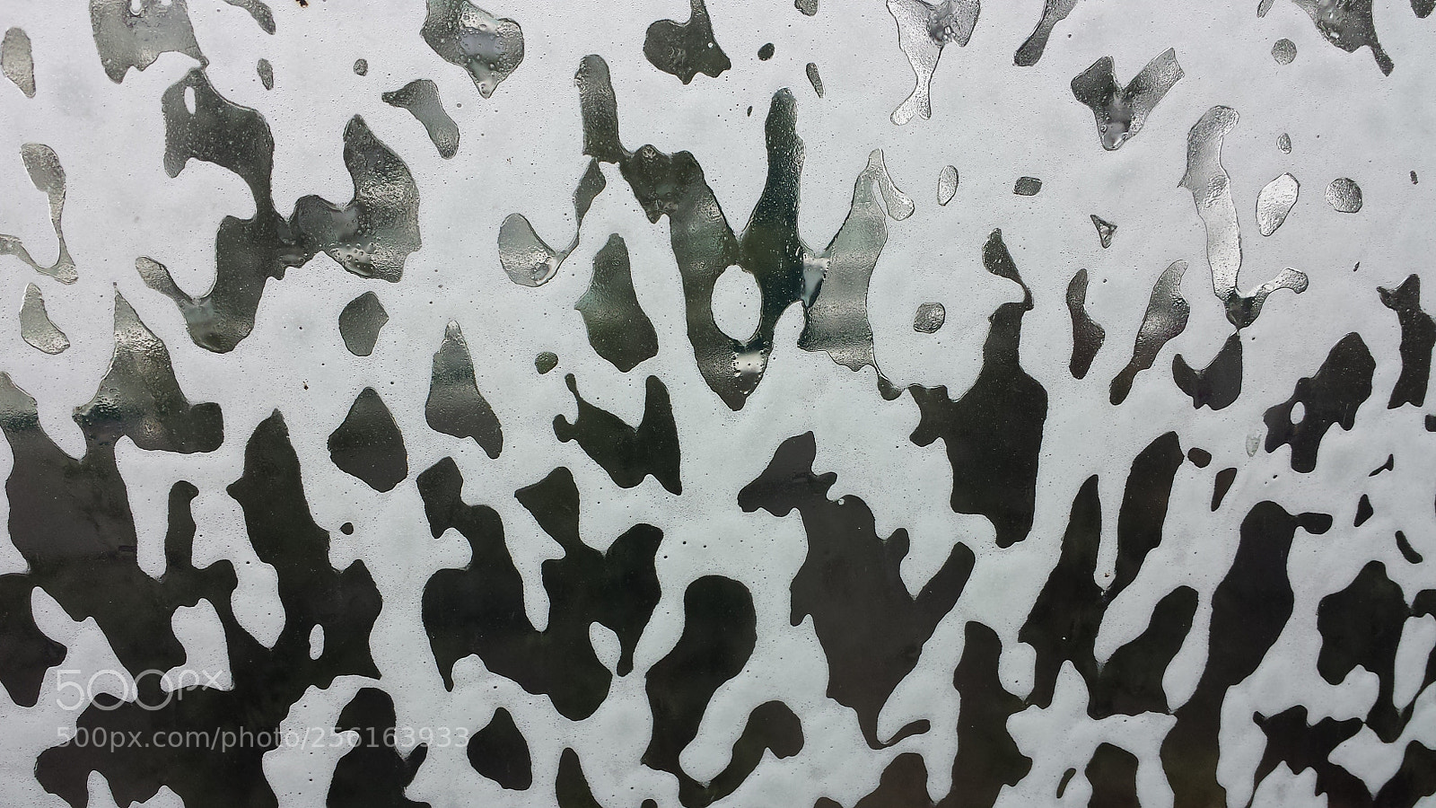 Samsung Galaxy S4 sample photo. Untitled photography