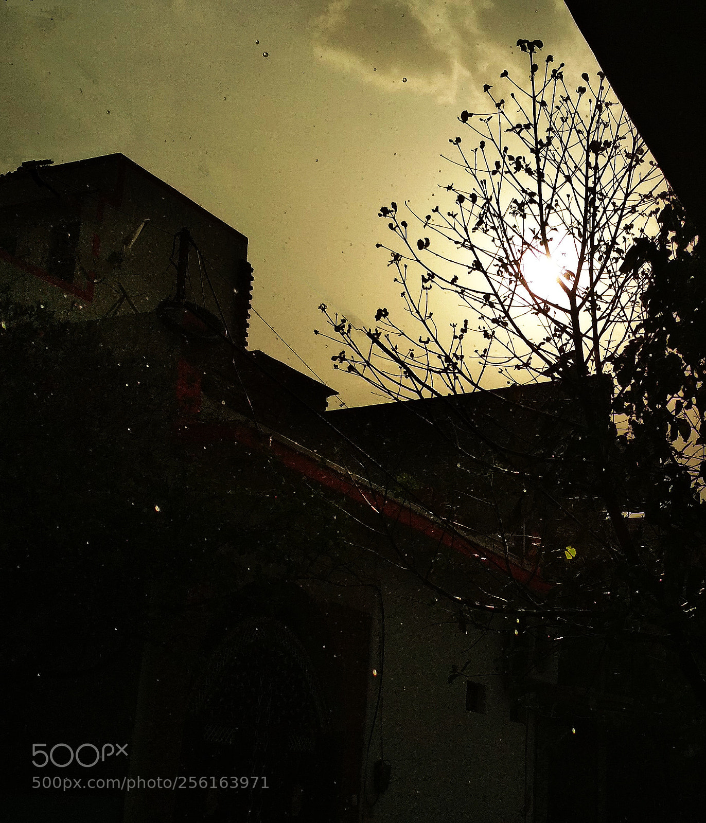 Xiaomi Redmi 4 Pro sample photo. Rainy drop with sun photography