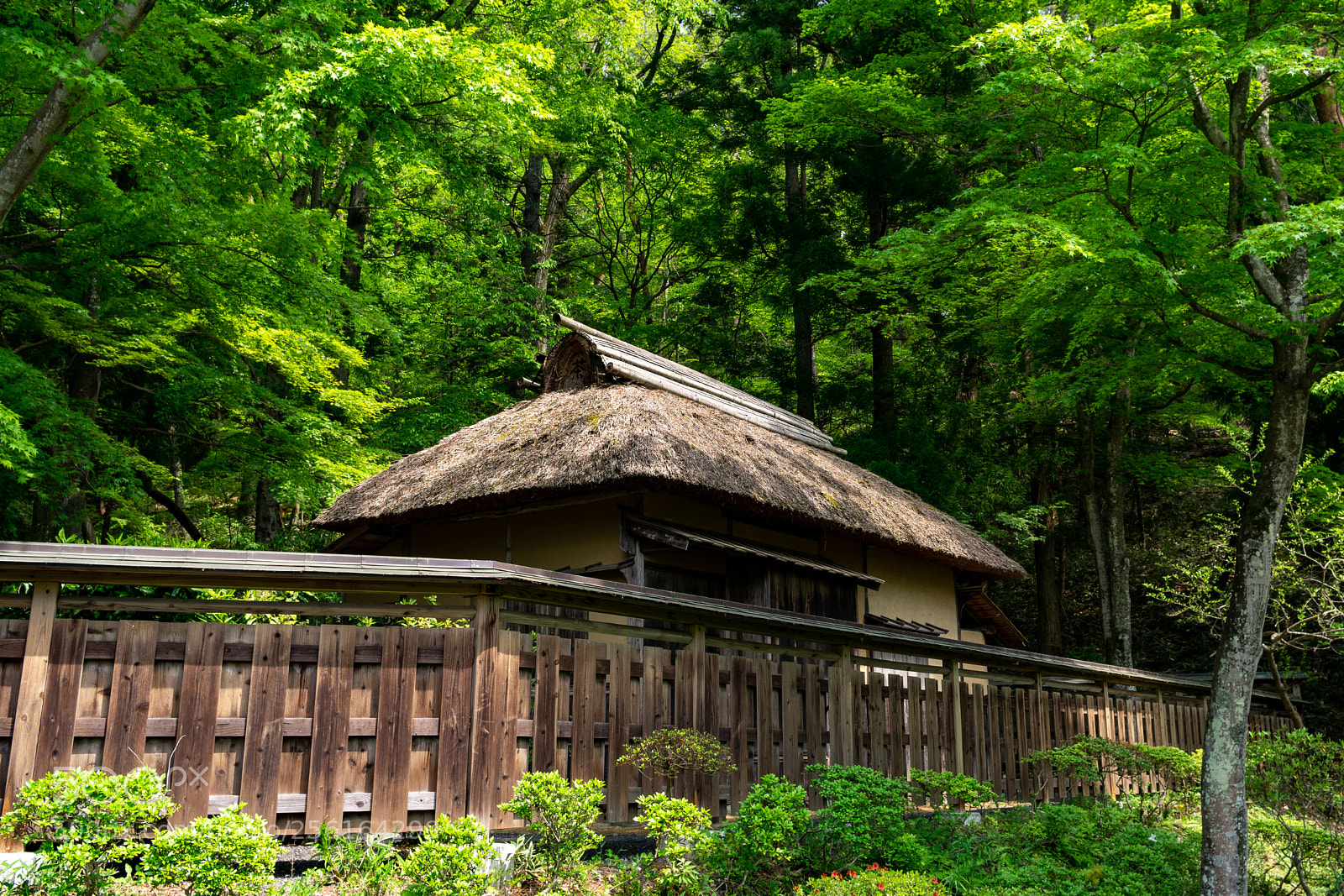 Pentax K-3 sample photo. ** photography