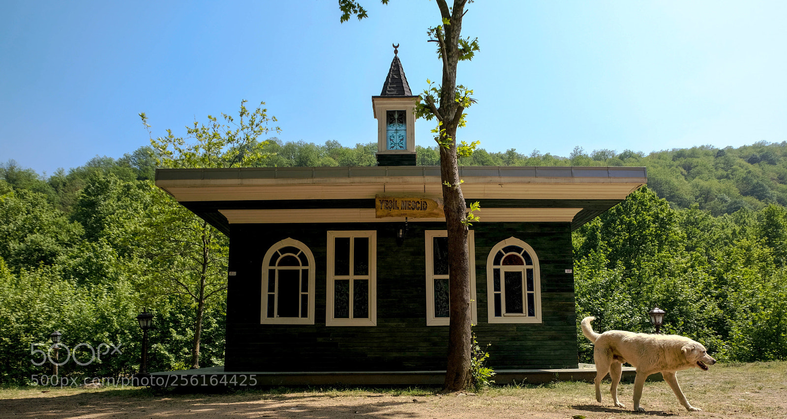 Fujifilm X-T20 sample photo. Untitled photography