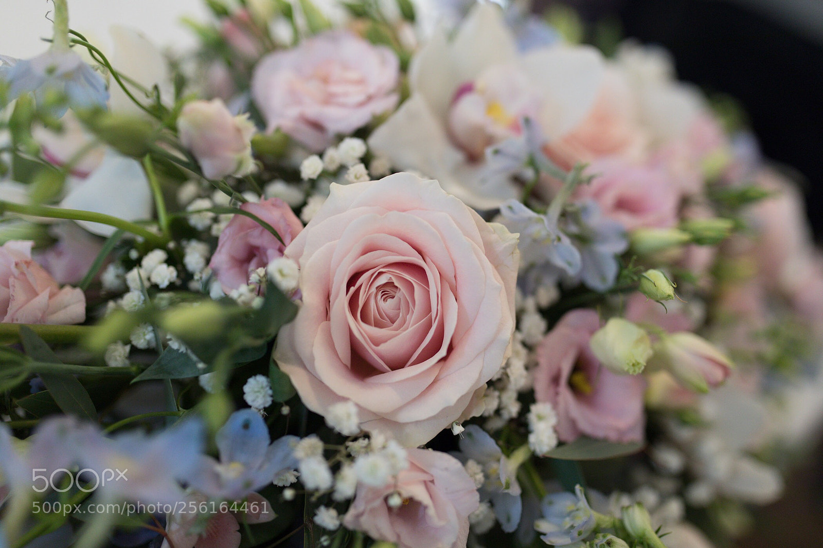 Canon EOS 5D Mark IV sample photo. Wedding roses photography