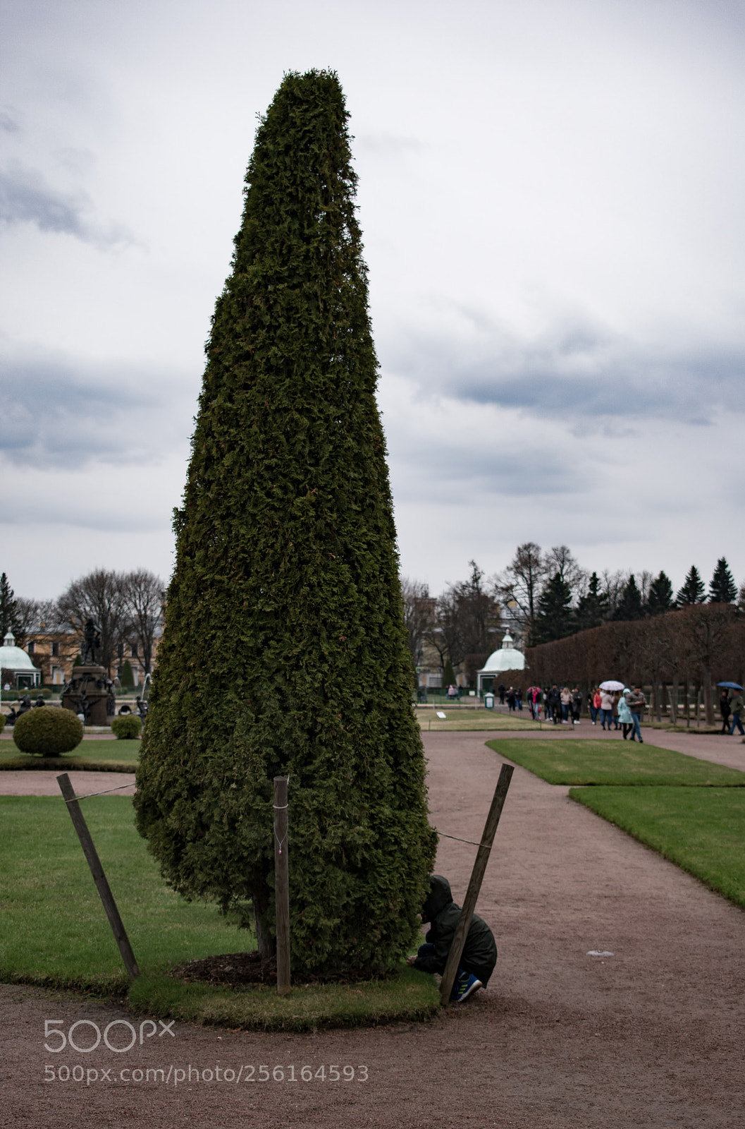 Nikon D3400 sample photo. Kid photography