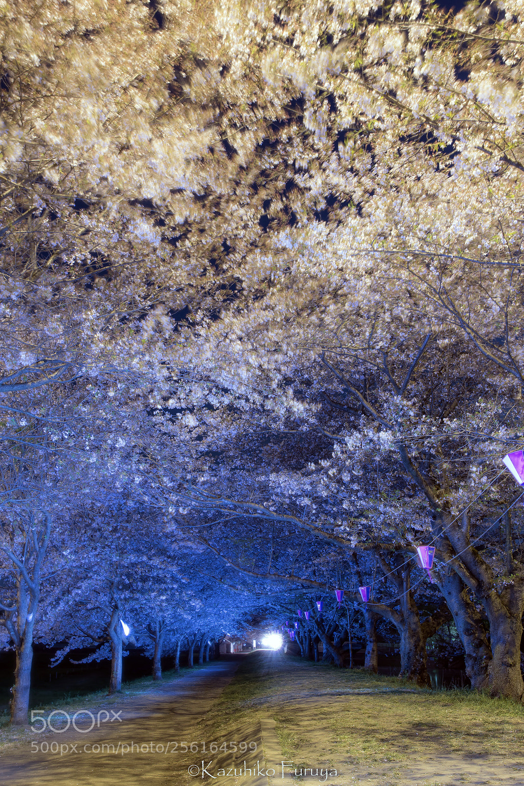 Canon EOS 6D sample photo. Tunnel photography