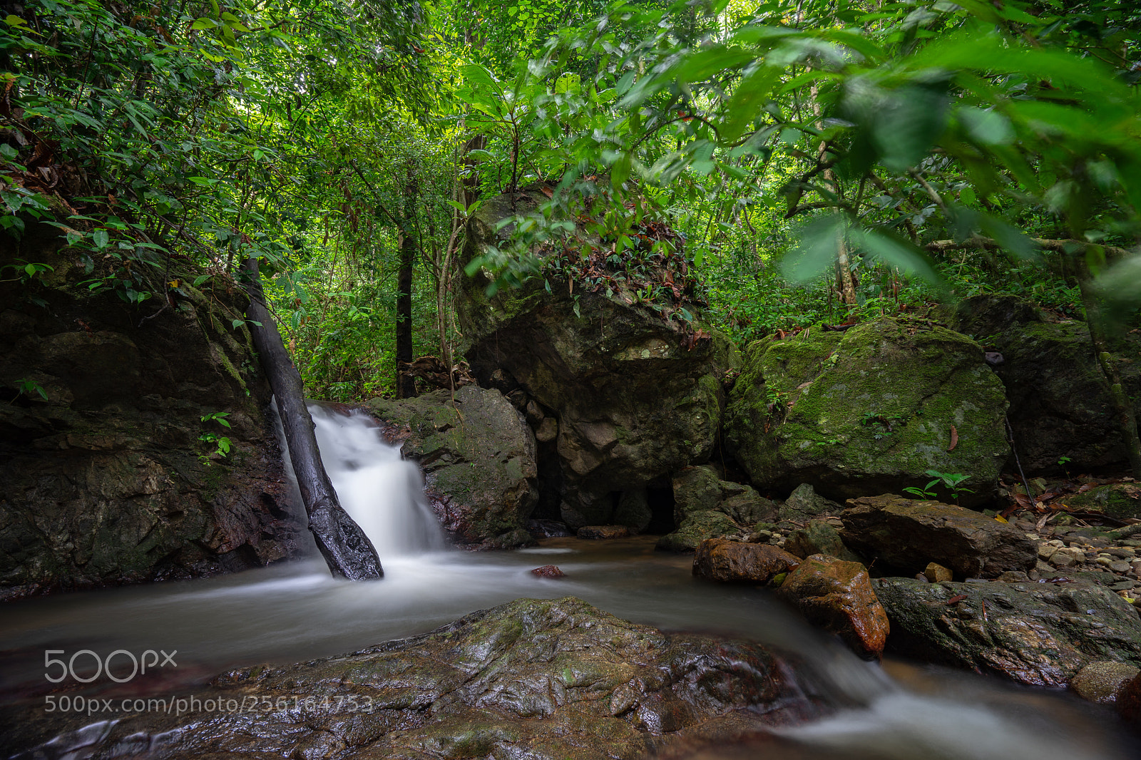 Sony a7 sample photo. ... photography