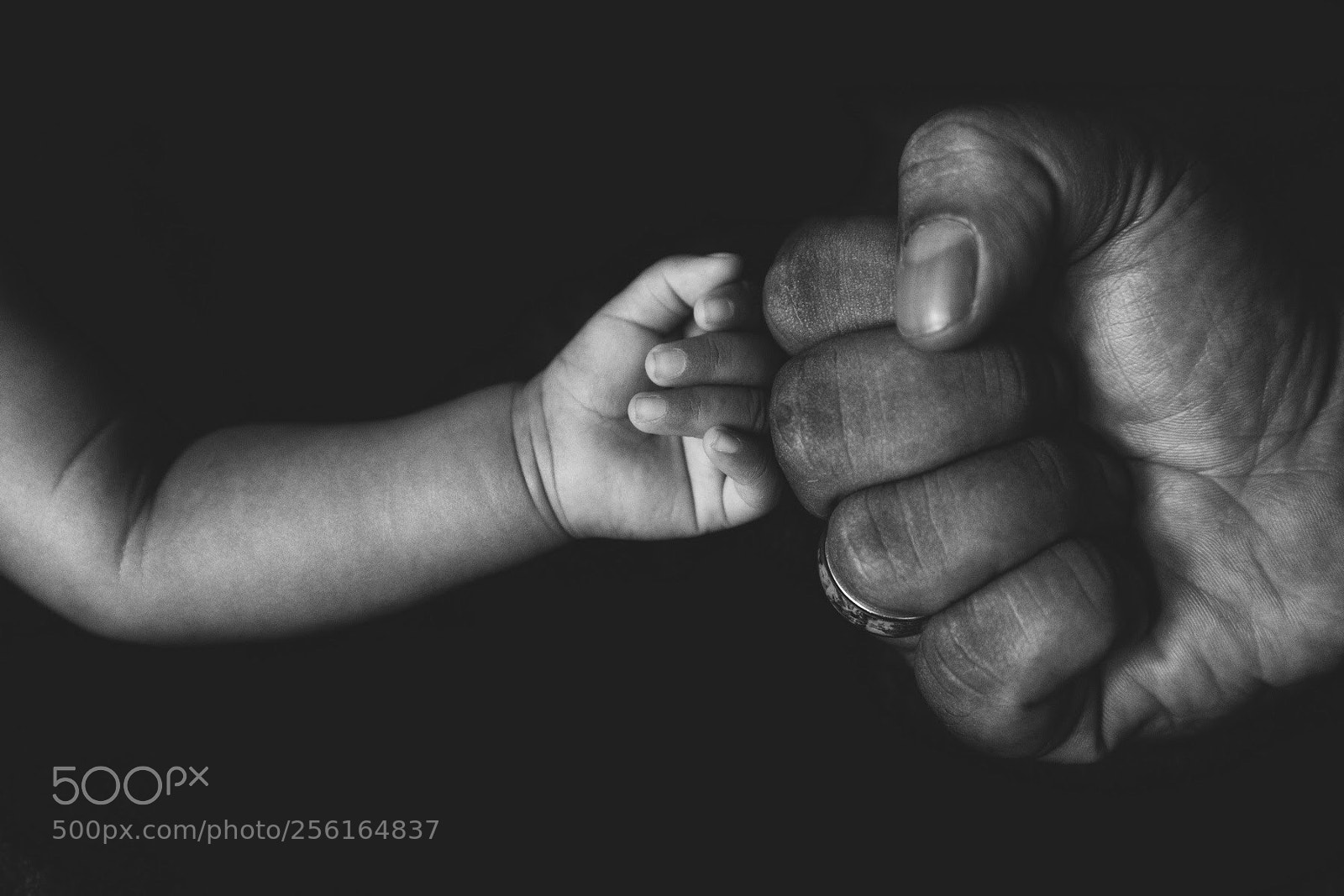 Canon EOS-1D X Mark II sample photo. Fist bump photography