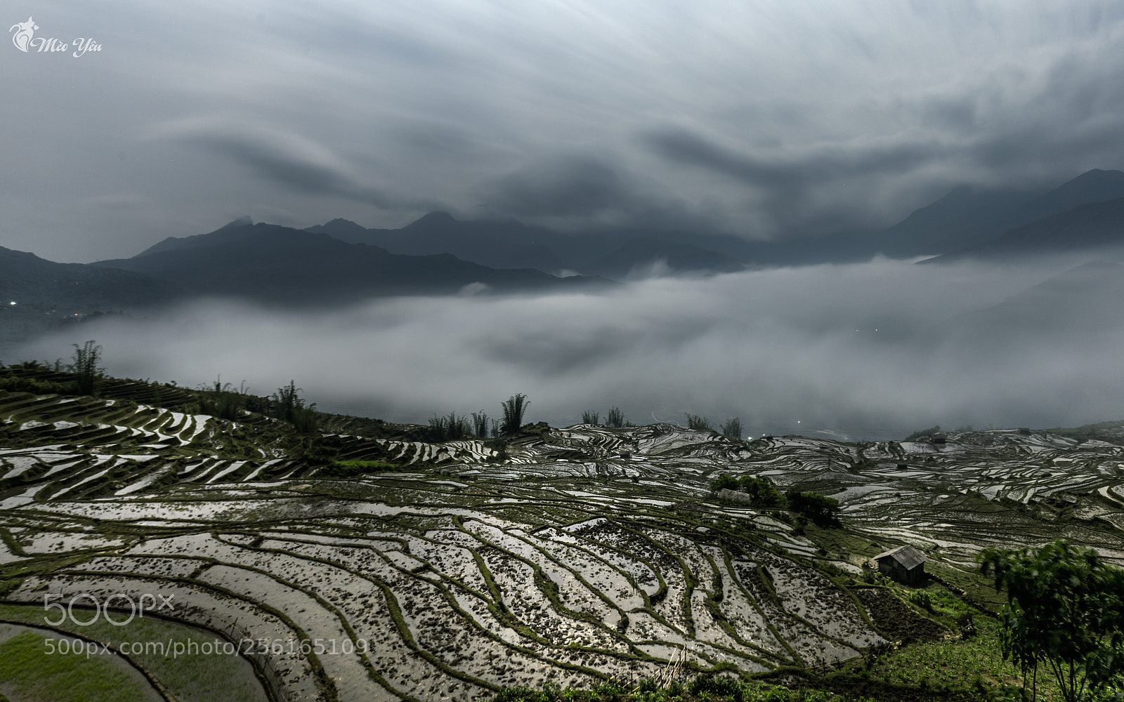 Canon EOS 6D sample photo. Moonlight on terraced fileds photography