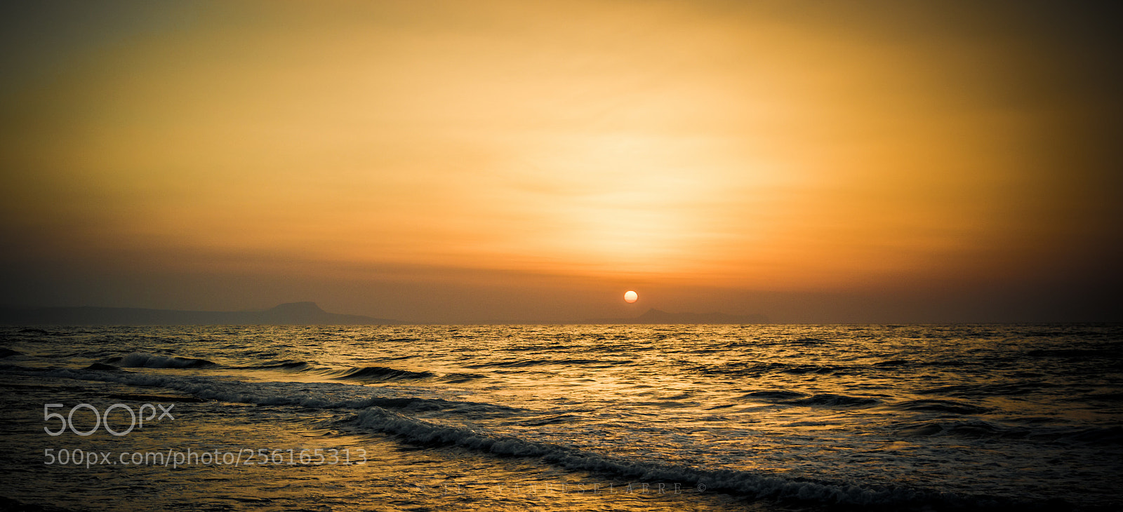 Canon EOS 100D (EOS Rebel SL1 / EOS Kiss X7) sample photo. Golden light photography