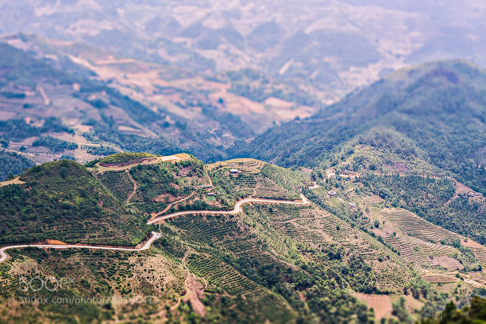 Canon EOS 50D sample photo. Terraced rice fields photography