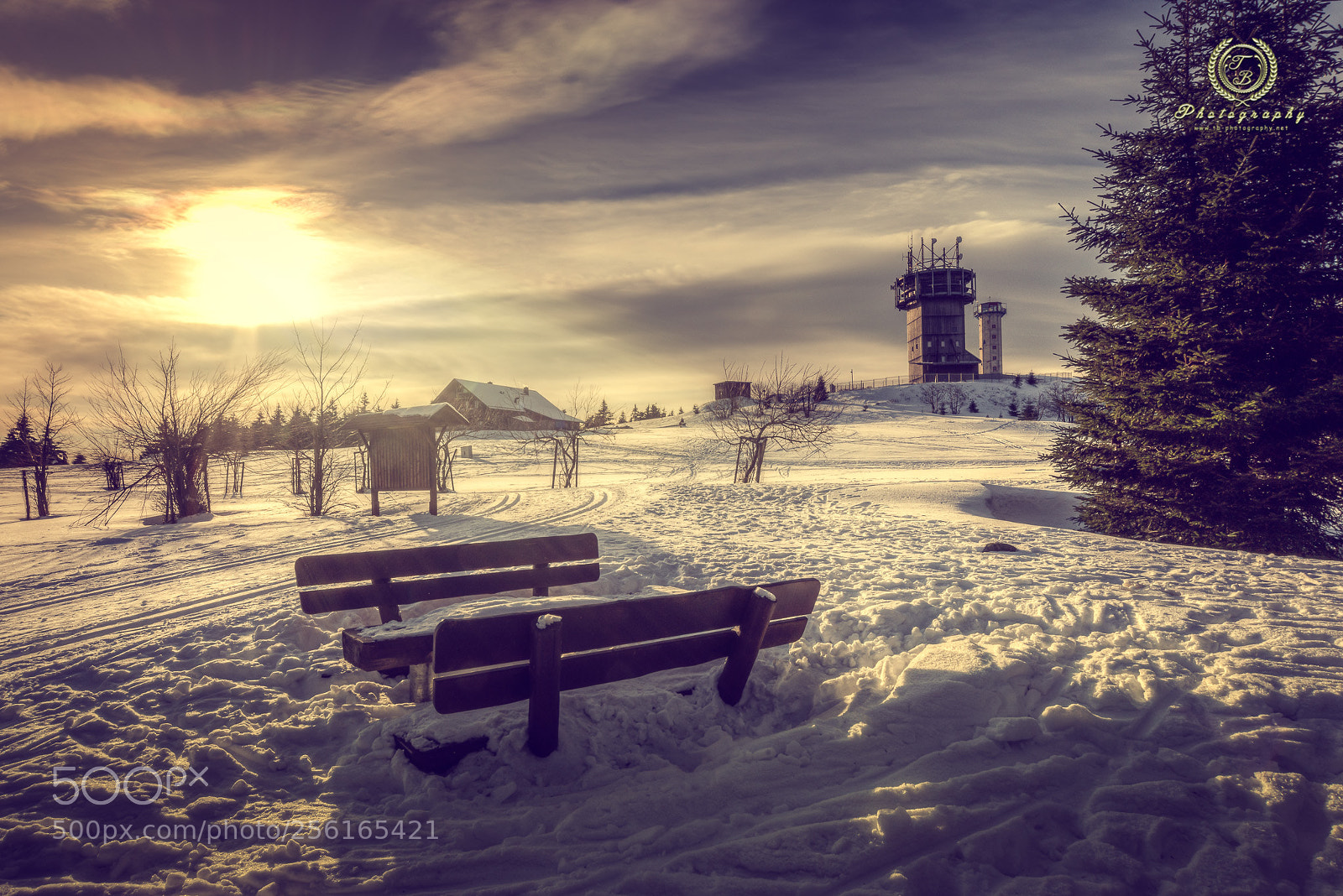 Nikon D800 sample photo. Schneekopf photography