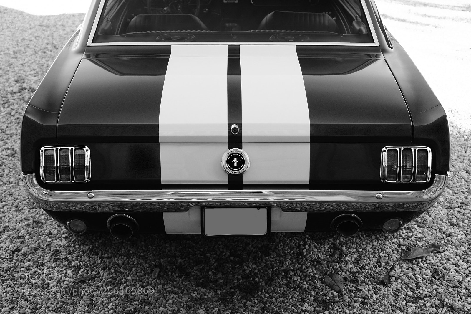 Fujifilm X-Pro2 sample photo. Mustang photography