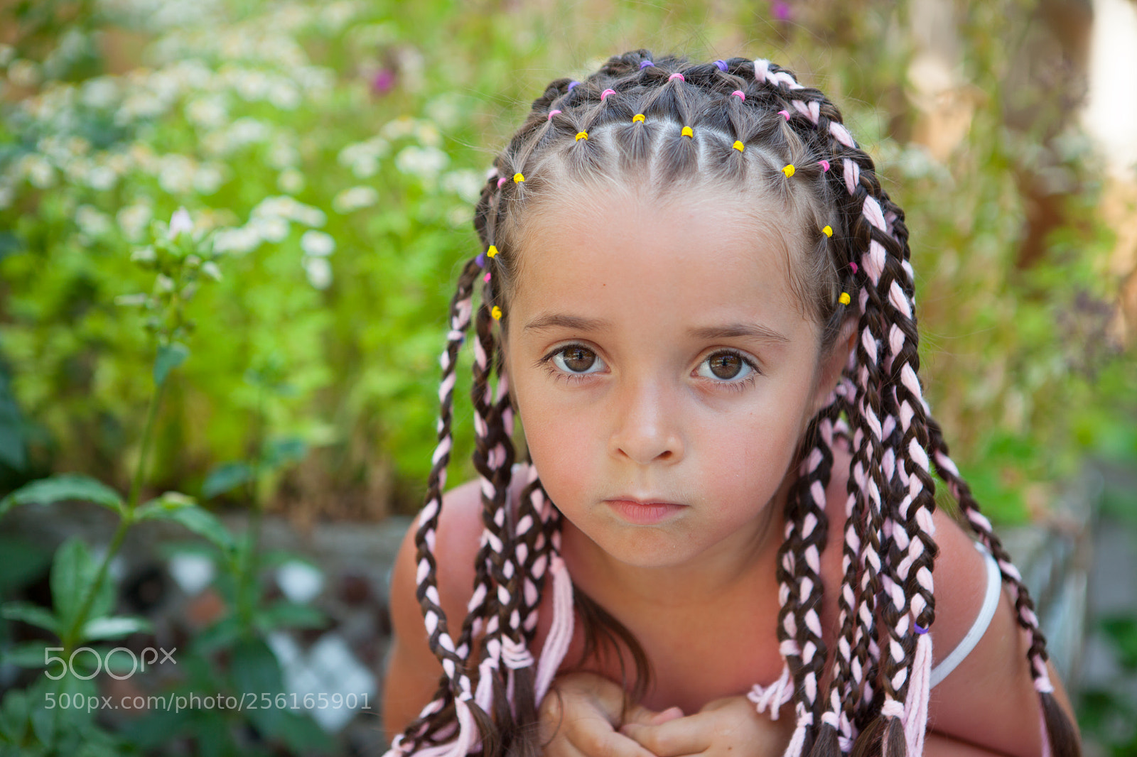 Canon EOS 5D Mark II sample photo. Img photography