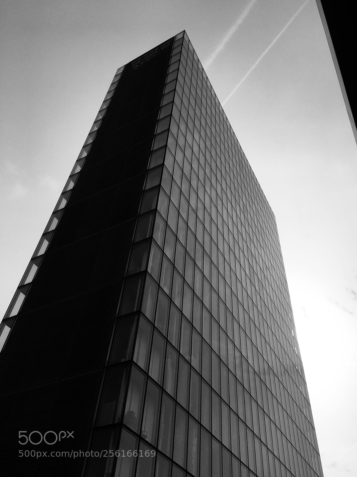 Apple iPhone SE sample photo. Library photography