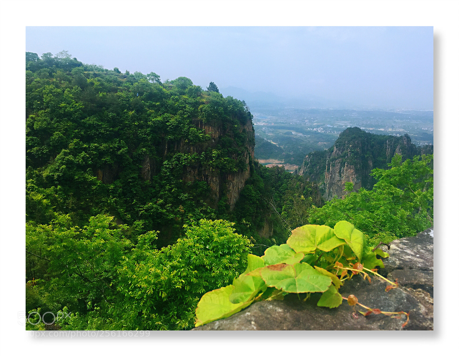 Apple iPhone 6 sample photo. Image photography