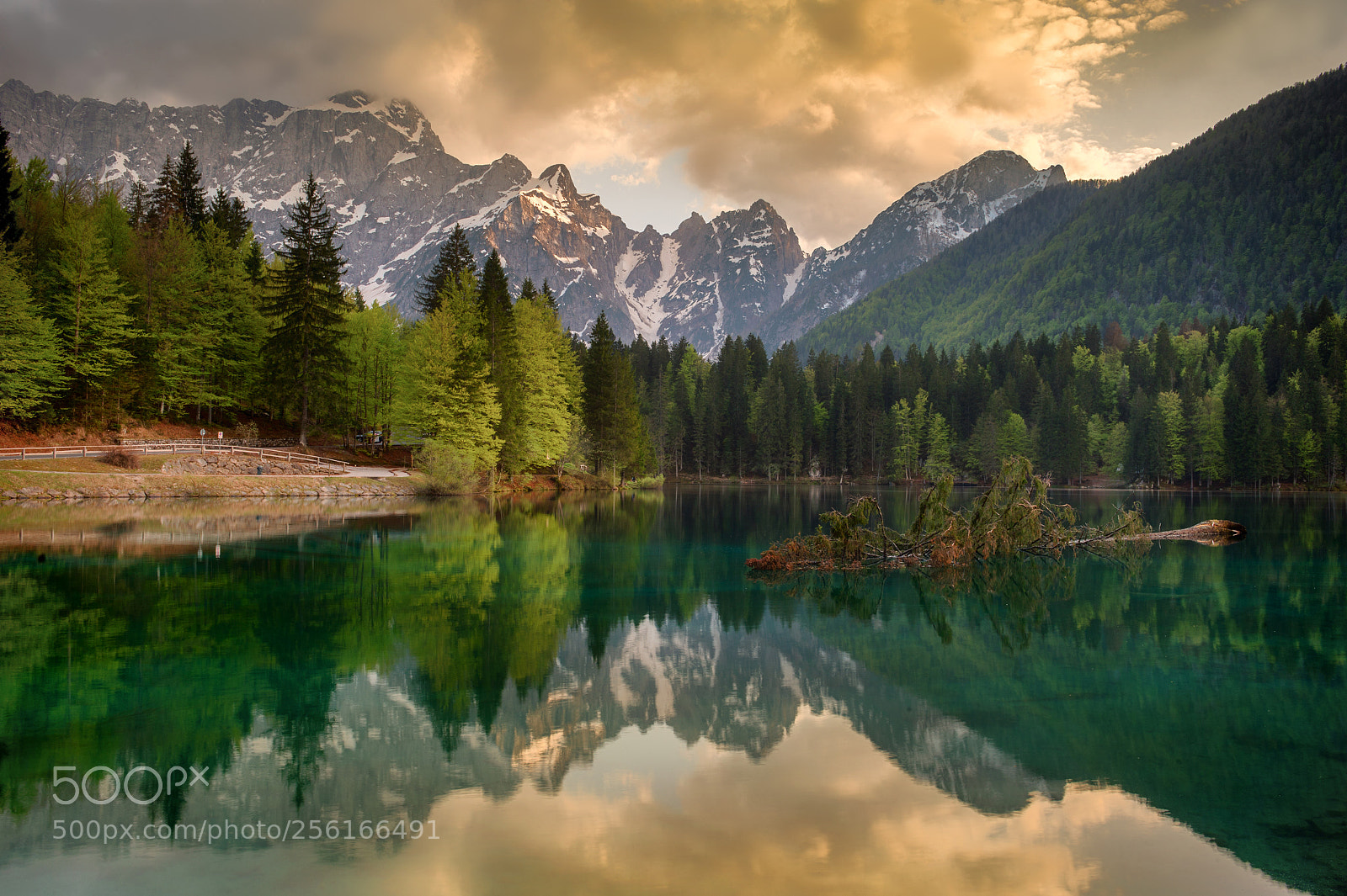 Nikon D4 sample photo. Lago di fusine photography